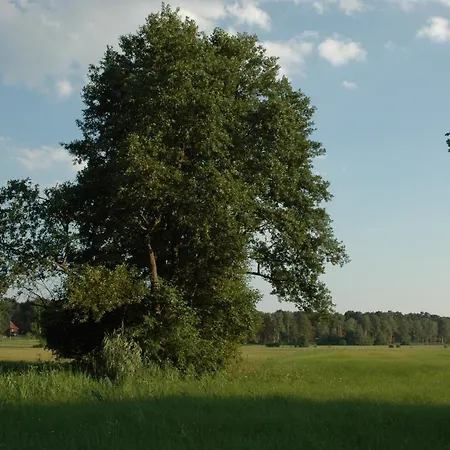 Apartamento Haus Waldfrieden Bad Saarow