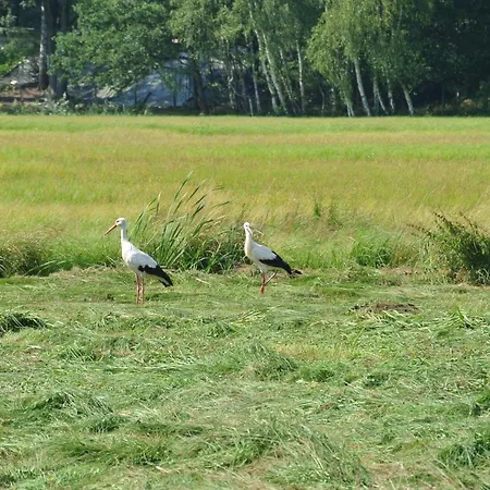 Haus Waldfrieden Apartamento