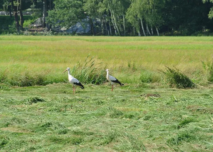 Haus Waldfrieden Lägenhet